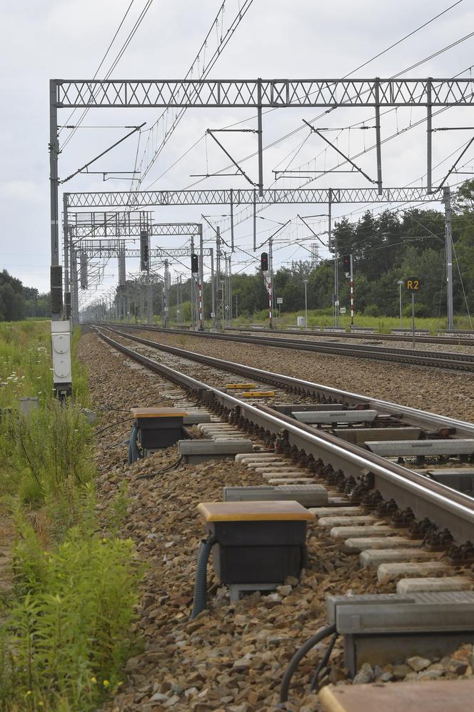 Trwają poszukiwania Dawidka z Grodziska Mazowieckiego