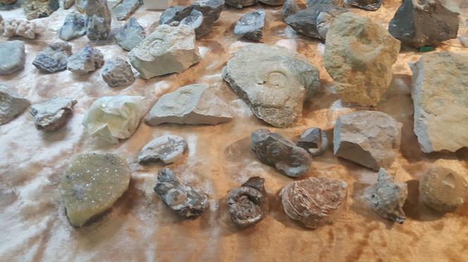 Giełda Minerałów w Sosnowcu