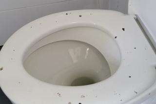 Niszczymy publiczne szalety na potęgę. Torunianie muszą zadowolić się „ToiToiami” [FOTO]