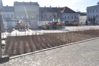 Zielona rewitalizacja w Rynku w Kielcach