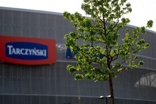 Tarczyński Arena we Wrocławiu została zazieleniona!