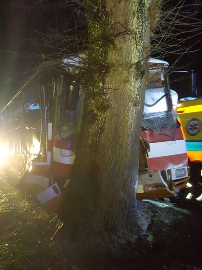 Autobus z dziećmi uderzył w drzewo! Są ranni. Dramat w Trzebiechowie [GALERIA]