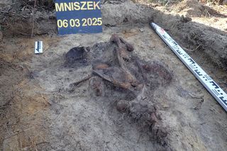 Ludzkie szczątki przy torach pod Świeciem! Tajemnica grobu w końcu wyszła na jaw