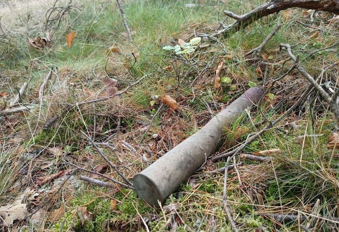 W czasie prac leśnych znaleziono nabój artyleryjski z czasów II wojny