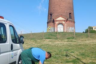 Nowe pompy tłoczą już wodę dla mieszkańców Iławy