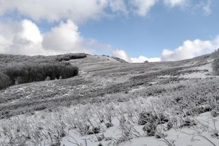 Nowy rezerwat przyrody na Podkarpaciu już otwarty 