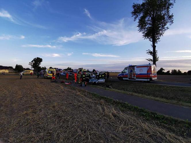 Groźny wypadek w Kotomierzu pod Bydgoszczą. 8 osób rannych!