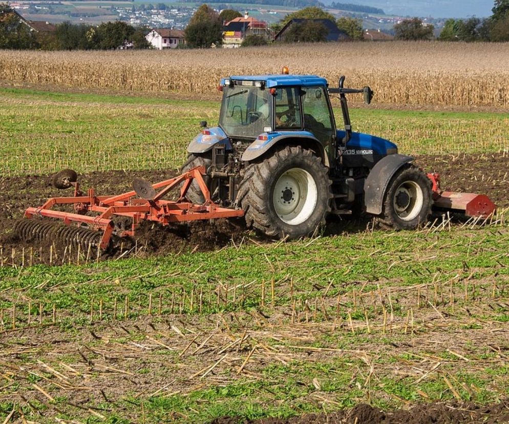Kaszubscy rolnicy kontra myśliwi. Walka o odszkodowania za szkody łowieckie