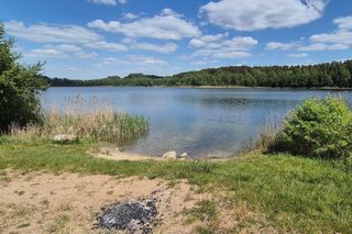 To jezioro w Olsztynie ma niezwykle czystą wodę. Jest kilka dzikich plaż, które świecą pustkami
