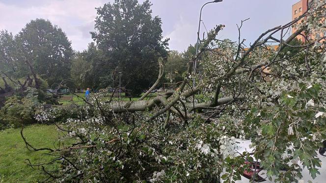 Burze przeszły przez województwo śląskie. Blisko 200 interwencji strażaków. Najwięcej w powiecie raciborskim