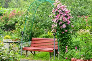 Najpiękniejsze pnącza do ogrodu. Zdjęcia