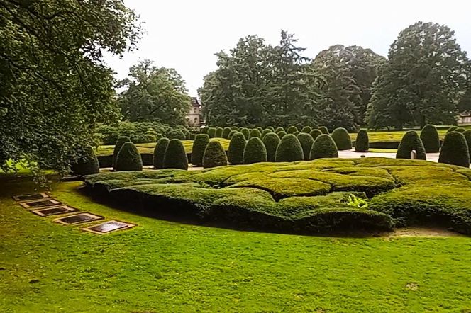 Ohlsdorfer Friedhof w Hamburgu
