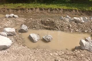 Potok Rycerski rozjechany niczym autostrada. Mogło zginąć kilka tysięcy ryb