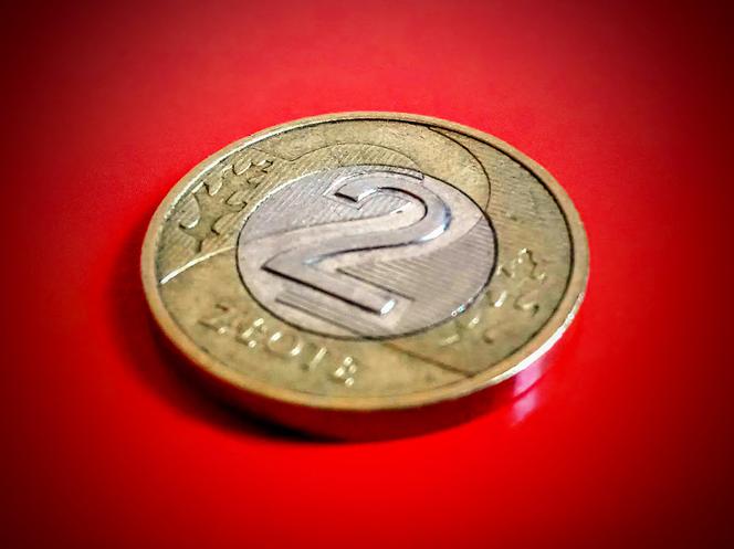 Farciarz ze Szczecina zainwestował 2 złote. Teraz będzie dostawał niezłe kieszonkowe!