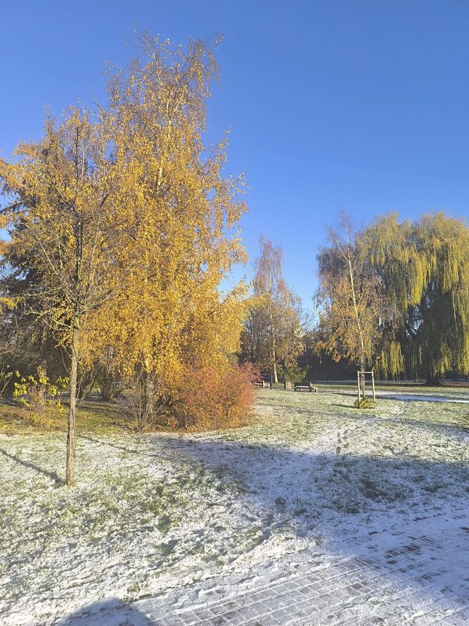 Pierwszy śnieg w tym roku. Pomorze pokryte białym puchem