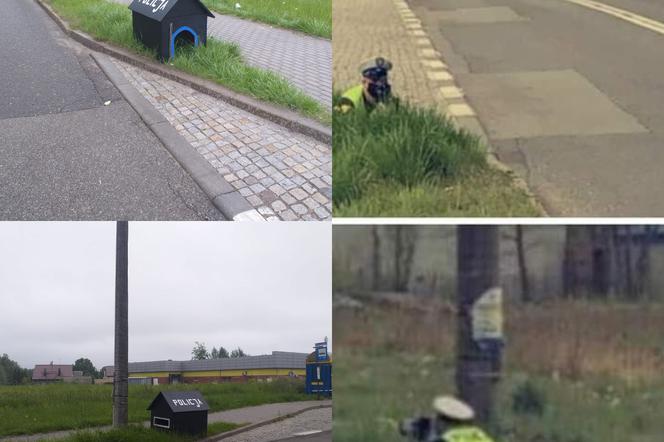 Zabrze: Policjant nurkujący w krzakach jest hitem internetu. To oczywisty fake. Co mówią o tej przeróbce policjanci? [FOTO]