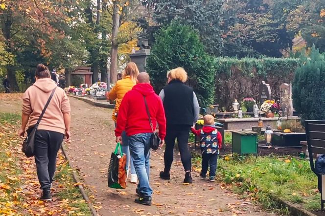 Przygotowania do 1 listopada na Cmentarzu Centralnym w Szczecinie