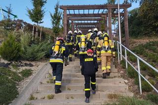 Strażacy wbiegli po schodach pod Olsztynem. Uczcili pamięć kolegów