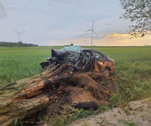 Tragedia pod Skierniewicami. 28-letni kierowca zginął po zderzeniu z drzewem