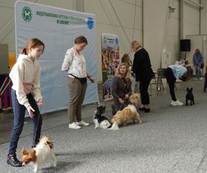 ZOOPARK w Lublinie. „Postawiliśmy na polski las. Chcemy promować nasze zwierzątka”