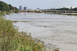 Wrocław - Odra wysoki poziom wody przy porcie miejskim (czwartek, 19.09)