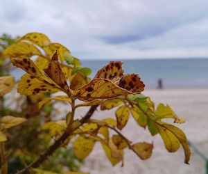 Kołobrzeg po sezonie