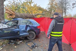 Audi wbiło się w drzewo, 18-latka nie żyje