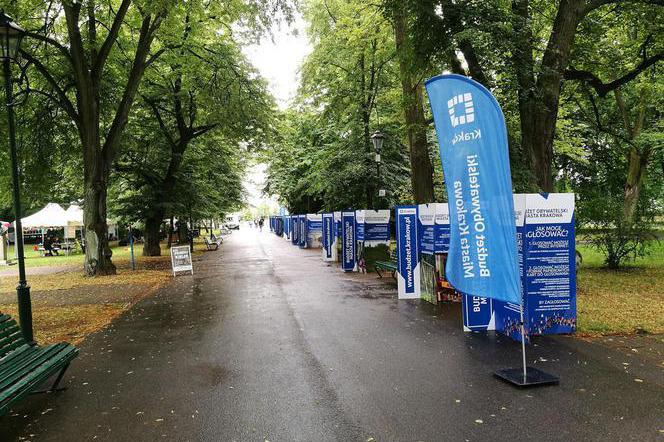 Co trzeci zwycięski projekt w Budżecie Obywatelskim związany jest z zielenią