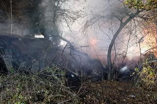 Żabno. Trzy pożary w jedną noc! SERYJNY PODPALACZ poszukiwany przez policję