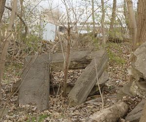 W Warszawie powstaje drugie lapidarium. Miasto nie usunie betonowych odpadów. To artefakty