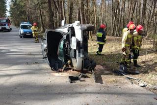 Auto rozbiło się na drzewie. Kierująca miała prawo jazdy zaledwie od 3 miesięcy