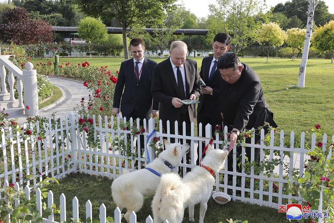  Ten portret Putina wygląda jak z cmentarza!