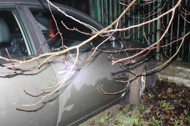 Pijany ojciec wioząc synka do szpitala rozbił auto na płocie! Odebrano mu samochód. To pierwszy przypadek w Tarnowie