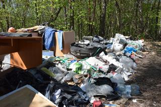 Nielegalne wysypisko śmieci na Targówku