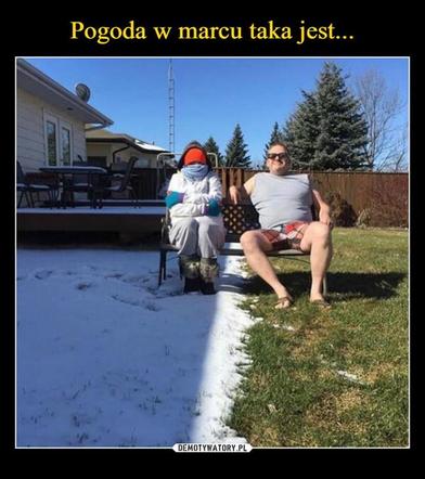 Pierwszy Dzień Wionsy - memy