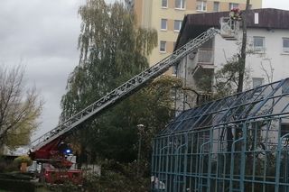 RCB alarmuje! Siedem powiatów w gotowości na silny wiatr. Zobacz, gdzie będzie najgorzej