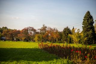 Park Śląski jesienią jest naprawdę piękny