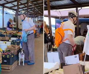 Korwin-Mikke na zakupach