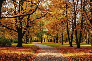 Zamojski Park Miejski: Jakie sekrety kryje stuletnia historia zielonych płuc Zamościa?