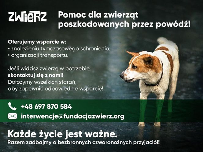 Apel Fundacji ZWIERZ