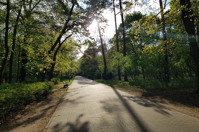 Park Bydgoski w Toruniu