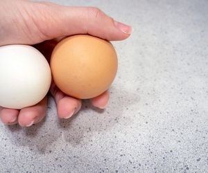 Czy brązowe jajka są zdrowsze od białych? Dietetycy już wiedzą