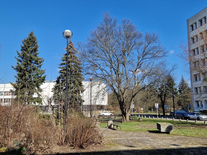 Najstarszy park miejski w Bydgoszczy zostanie odnowiony! Zmieni się nie do poznania