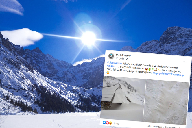 W Tatrach spadł żółty śnieg! Co to za zjawisko? Pamiętajcie, by go nie jeść