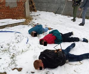 Policjanci z Komendy Wojewódzkiej Policji w Bydgoszczy rozbili grupę przestępczą