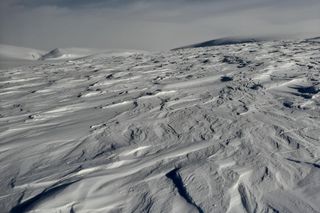  Polka samotnie weszła na Newtontoppen (1713 m), najwyższy szczyt wyspy Spitsbergen. Zrobiła to z bronią! 