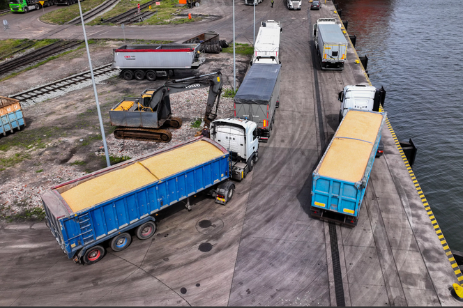 Port Gdańsk gotowy na duży ruch ciężarówek ze zbożem. W tym roku przeładują 2,5 mln ton 