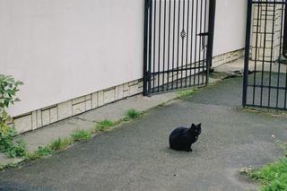 Jesienny poranek nad Zalewem Zemborzyckim. Zobaczcie galerię zdjęć!
