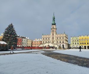 Zamojskie lodowisko  w sezonie  2024- 2025