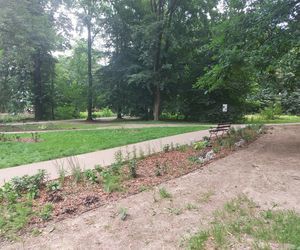 Park im. Szafera w Rzeszowie 